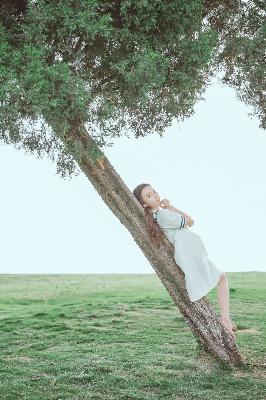 珠帘玉幕电视剧免费观看完整版