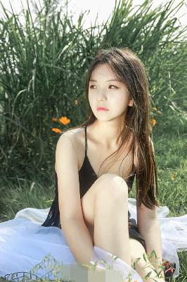 朝雪录电视剧免费观看全集高清