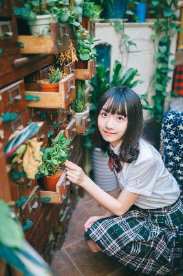 八戒八戒免费观看高清电视剧